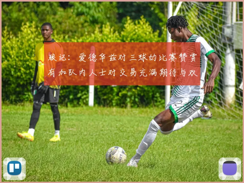 狼记：爱德华兹对三球的比赛赞赏有加队内人士对交易充满期待与欢欣